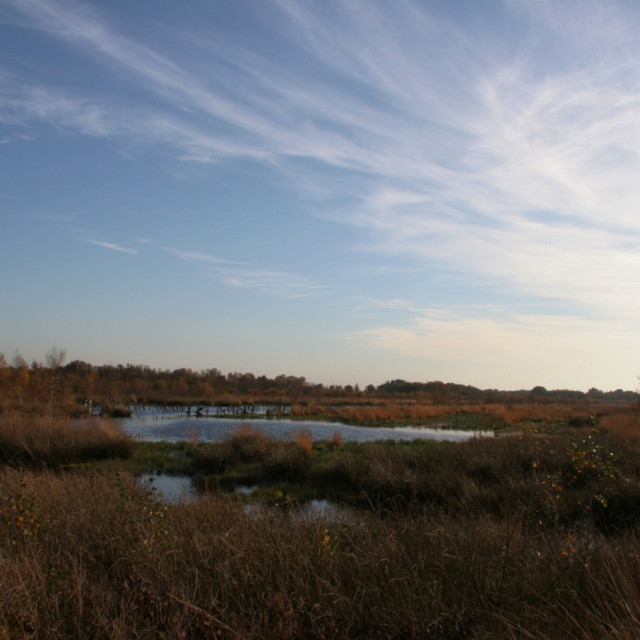 IMG_6096